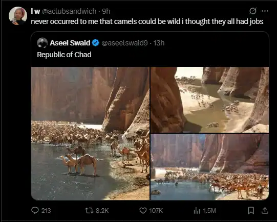 Camels in a river in Chad, with rocky cliffs in the background.