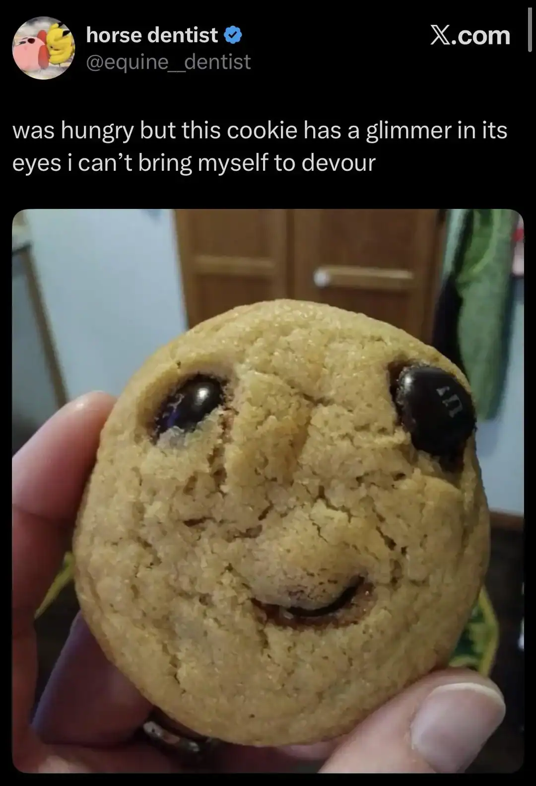 Cookie with a smiley face and shiny eyes, held in hand.