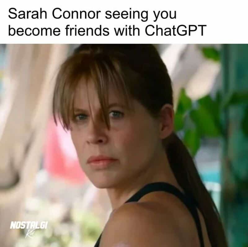 Sarah Connor seeing you become friends with ChatGPT.