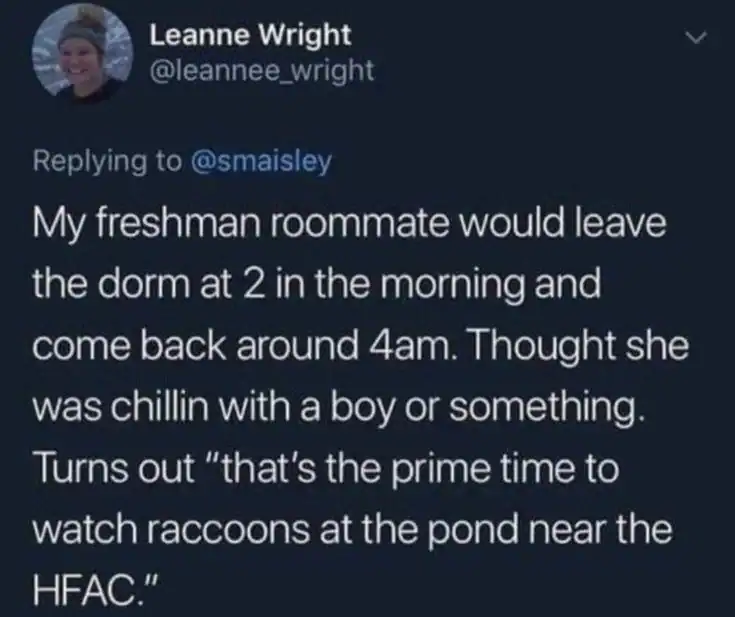 A tweet from Leanne Wright about her roommate leaving at 2 am and returning at 4 am to watch raccoos.