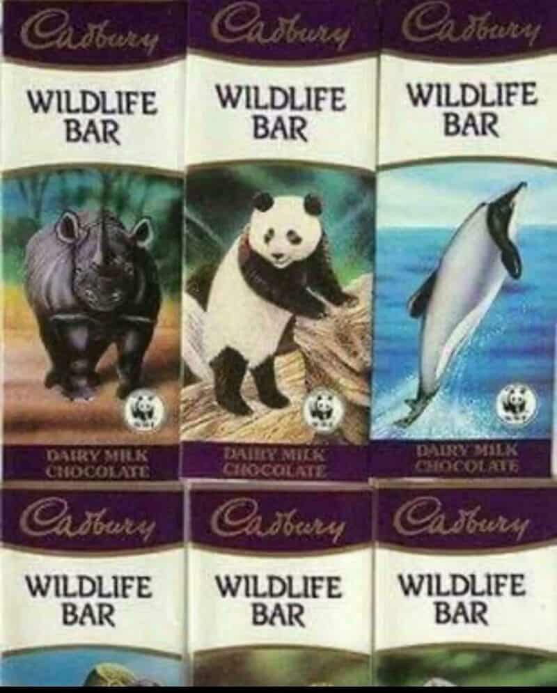 Cadbury Wildlife Bar chocolate with images of a hippopotamus, panda, and dolphin.