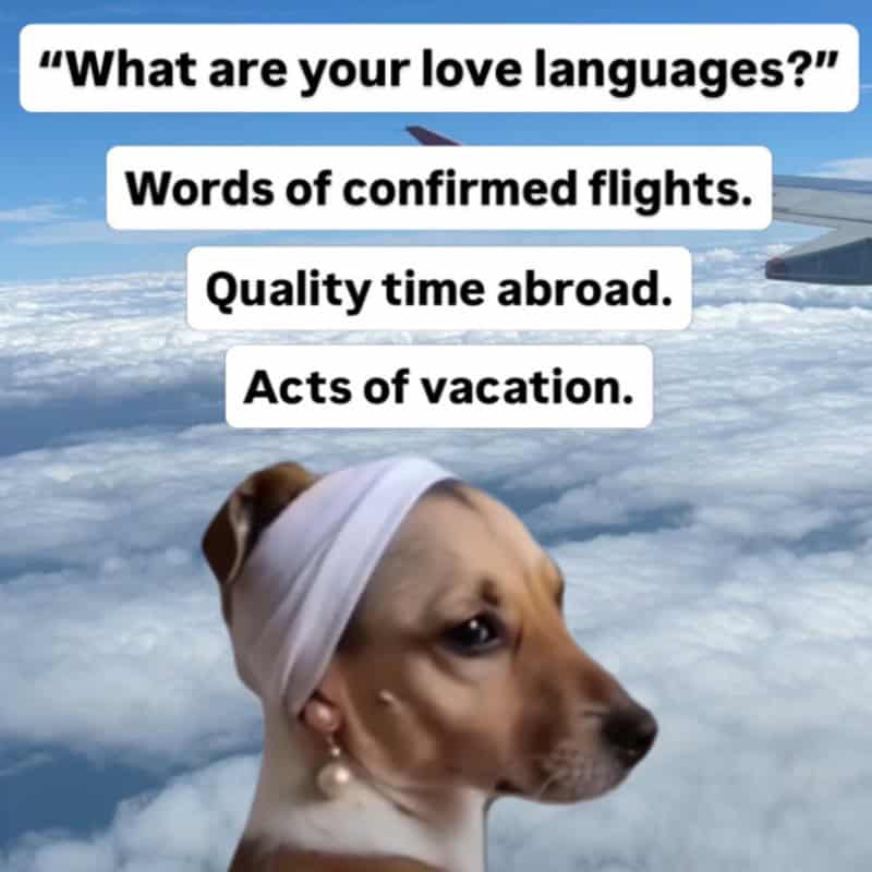 Dog with headband and pearl earring above clouds with text about love languages.