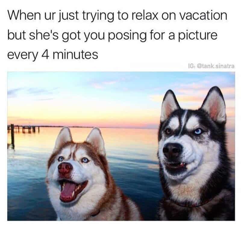 Two huskies by the water with a sunset, one looks relaxed, the other posing for photos.