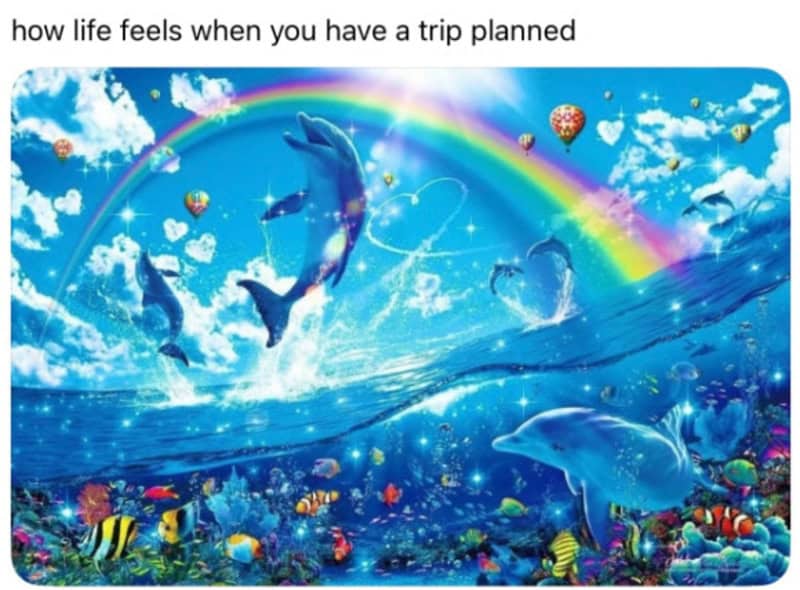 Colorful underwater scene with dolphins, rainbow, and hot air balloons.