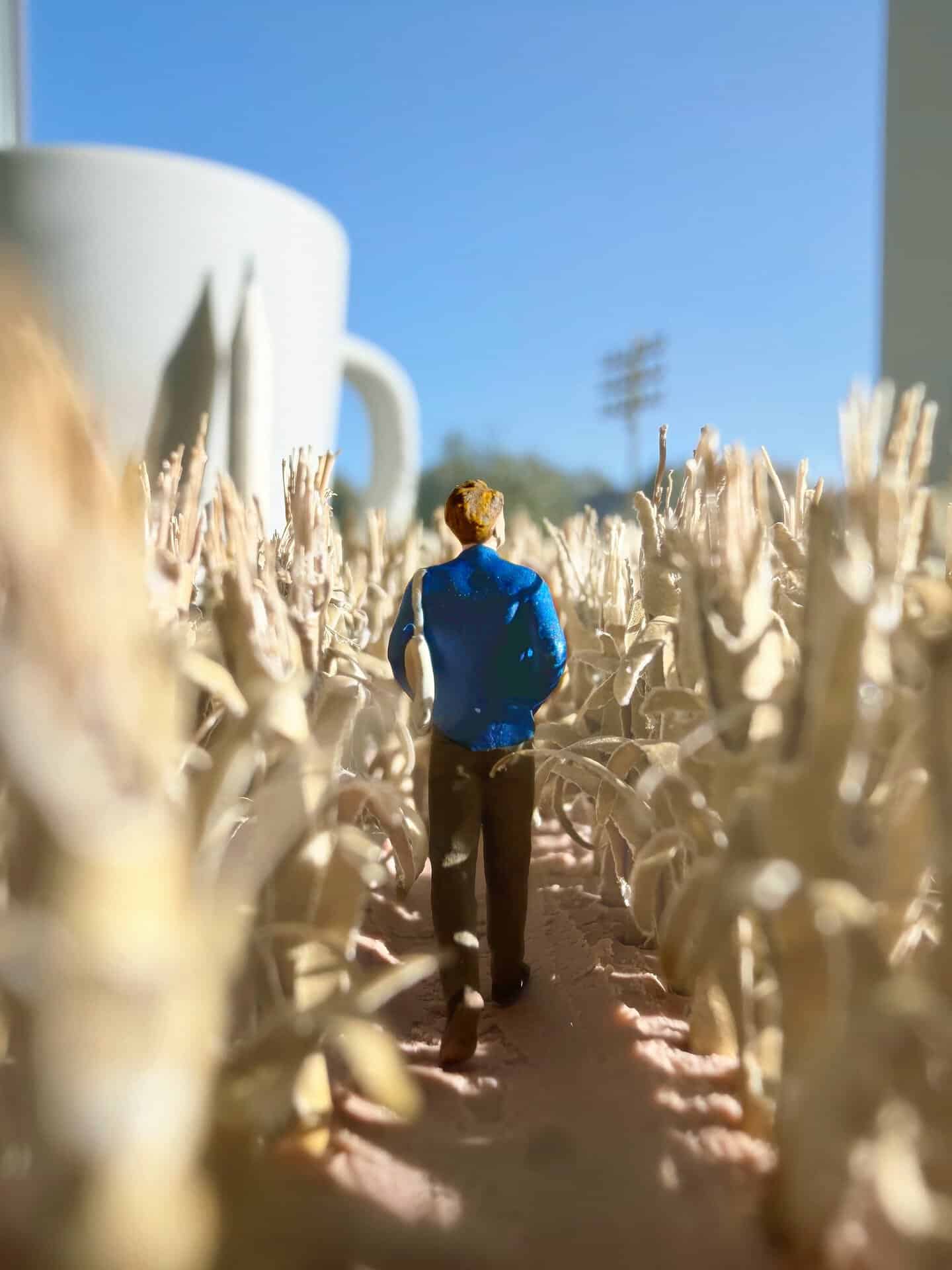 Miniature man walking through a field of corn with a large mug in the background.