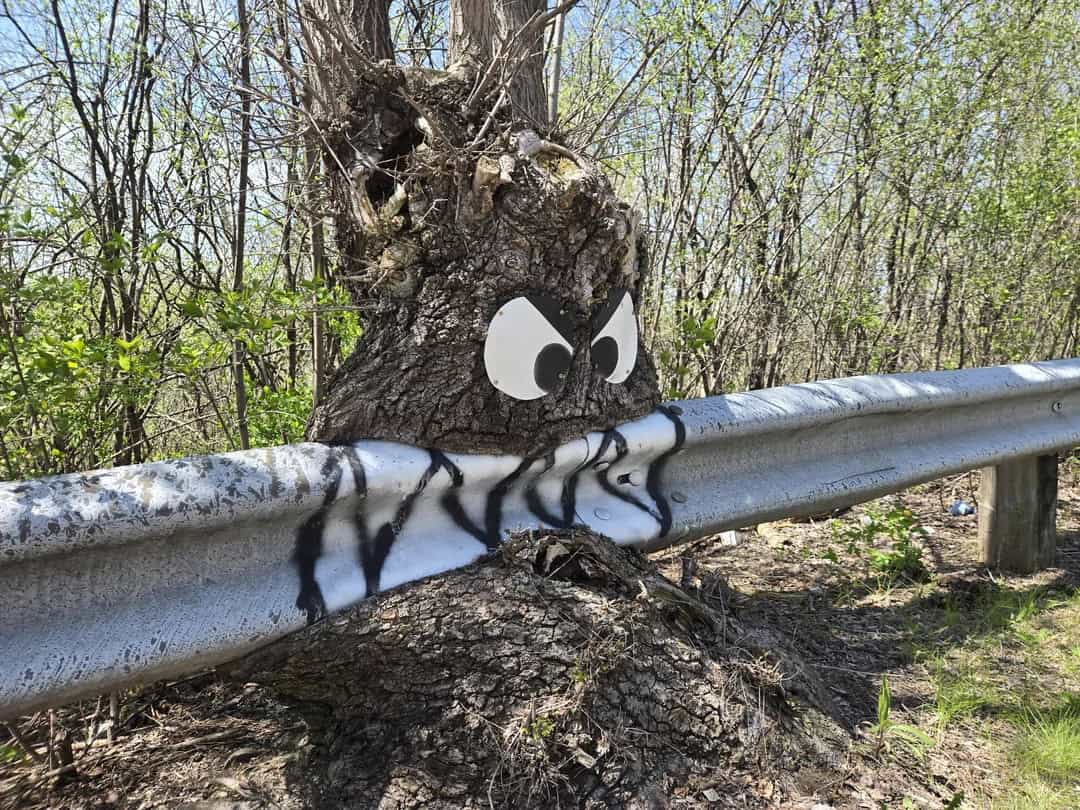 Tree with painted eyes and mouth, resembling a face, behind a guardrail.