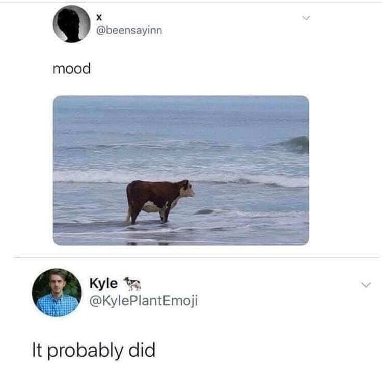 A cow standing in the ocean with waves around it, looking calm.