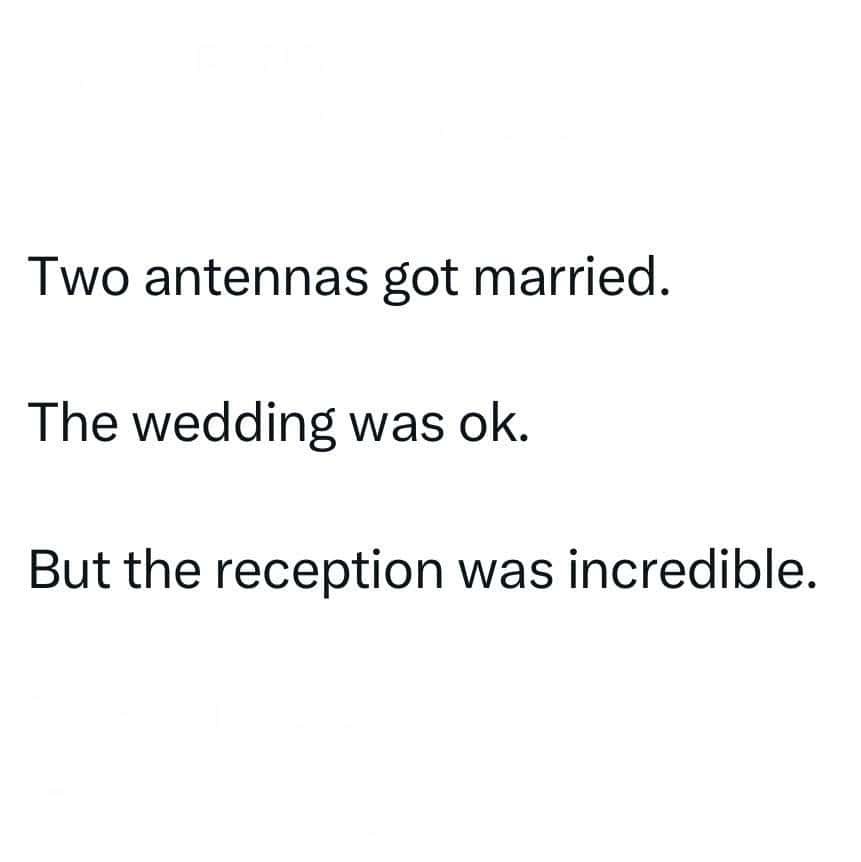 Two antennas got married. The wedding was ok. But the reception was incredible.