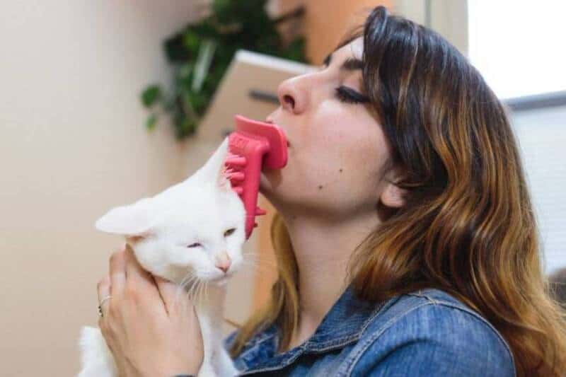 Woman grooming a white cat with a pink brush in her mouth.