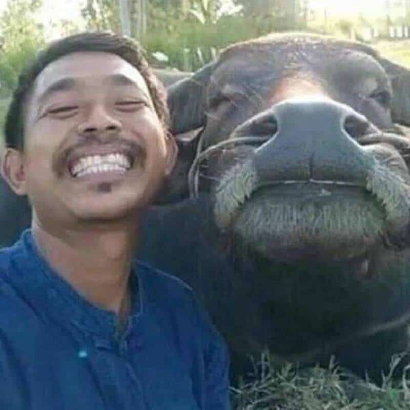 Smiling man with a large dog, both close together outdoors.