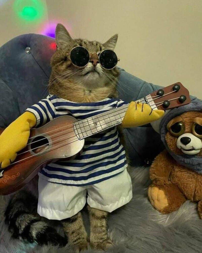 Cat wearing sunglasses, striped shirt, white shorts, yellow gloves, playing guitar.