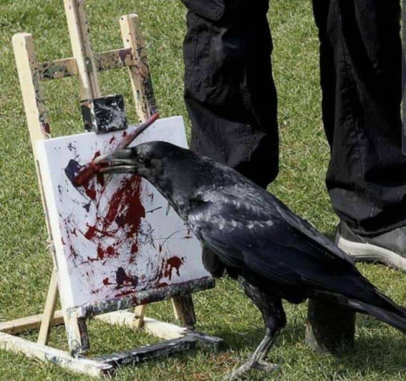 Crow painting on canvas with a brush, with blood-like red paint, outdoors.