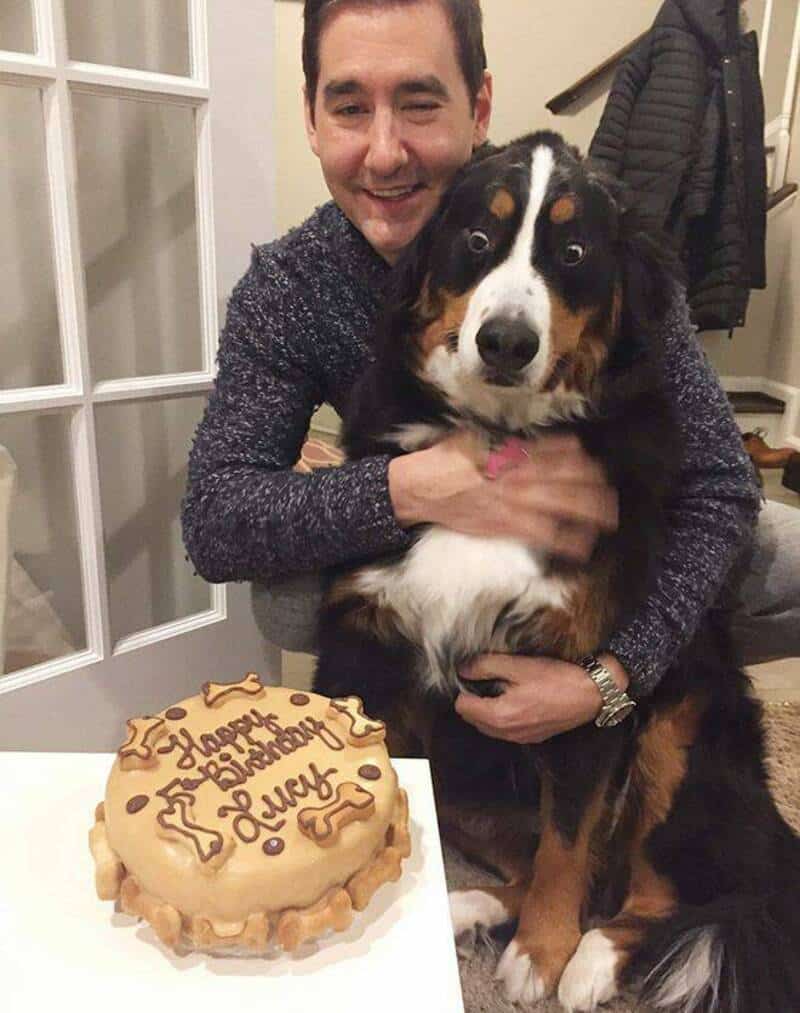 Man hugging a large Bernese Mountain Dog near birthday cake.