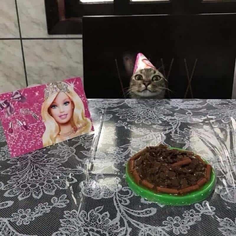 Cat peeking over table with a birthday card and a bowl of food.