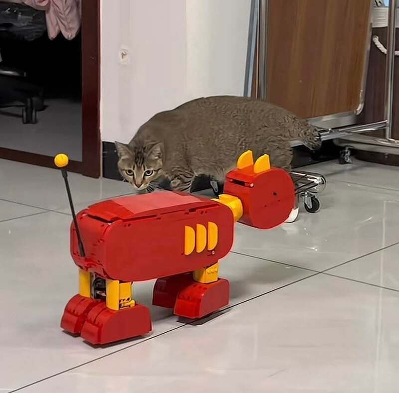 Cat lying on floor near a red robotic dog toy in a room.