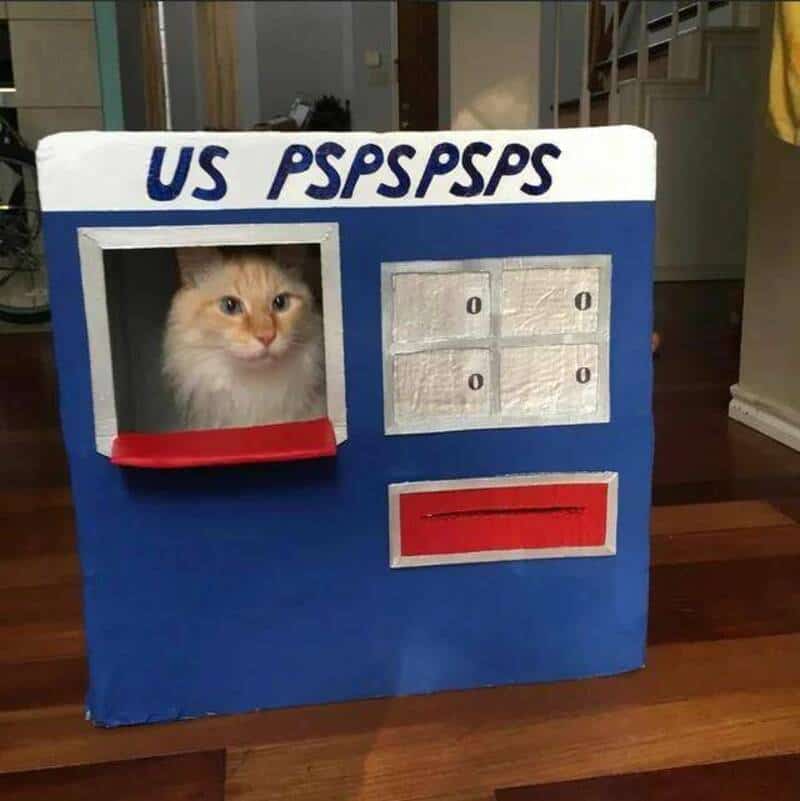Cat inside a cardboard game resembling a PlayStation with 'US PSP PSP PSP' text.