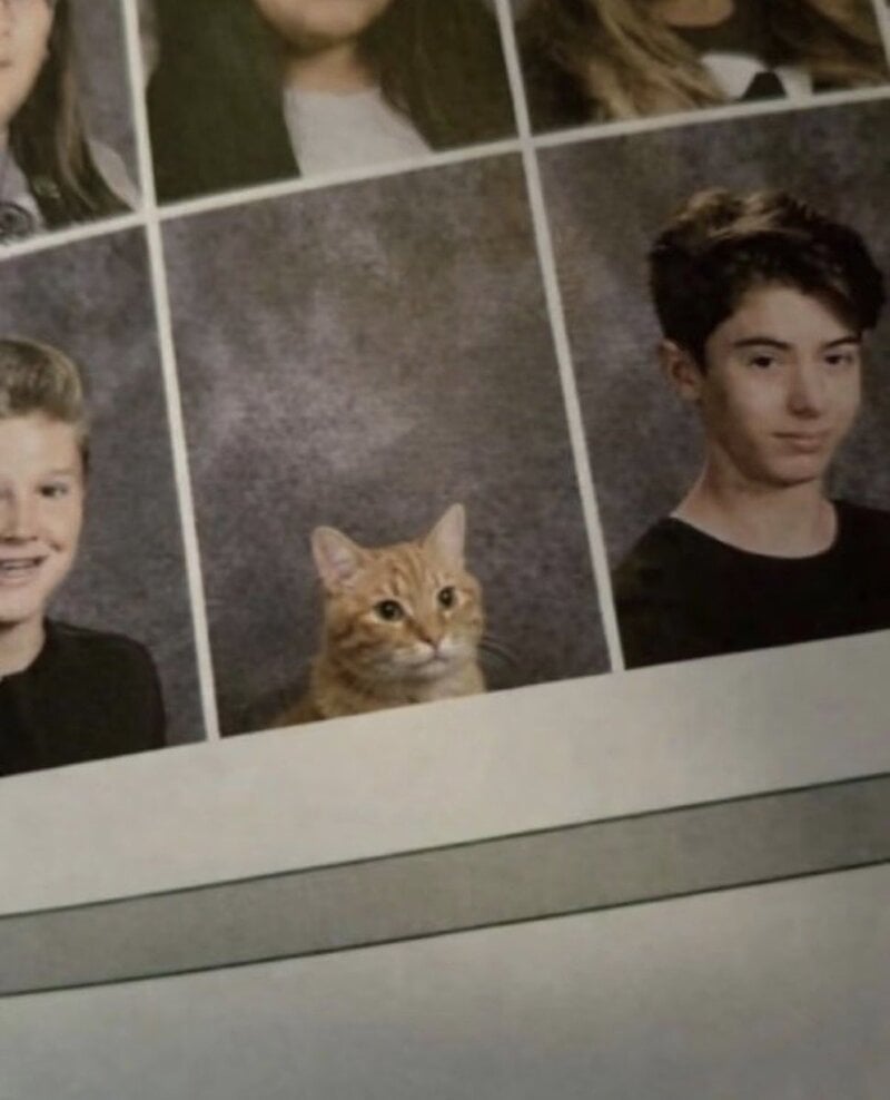 Photo of a school yearbook page with a cat among students' photos.