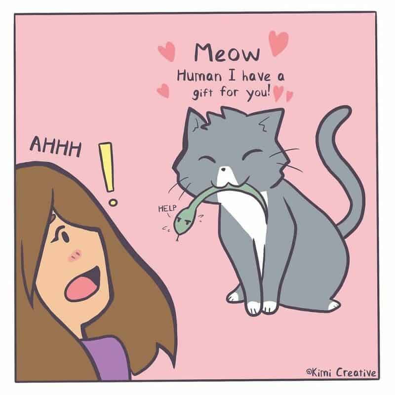 Cute cat with a fish in its mouth offering a gift to a surprised girl.