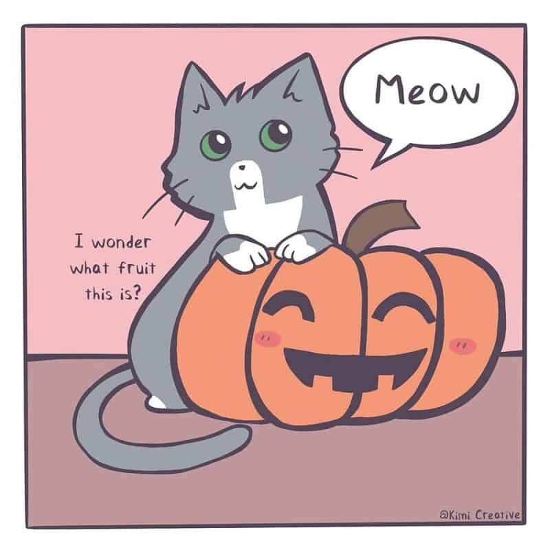 Cute gray cat with green eyes sitting next to a carved pumpkin with a funny face, saying 'Meow'.
