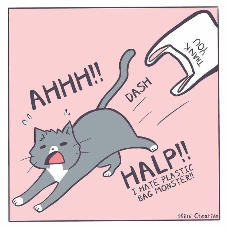 Cat startled by plastic bag, crying out in fear, with hand reaching for it.
