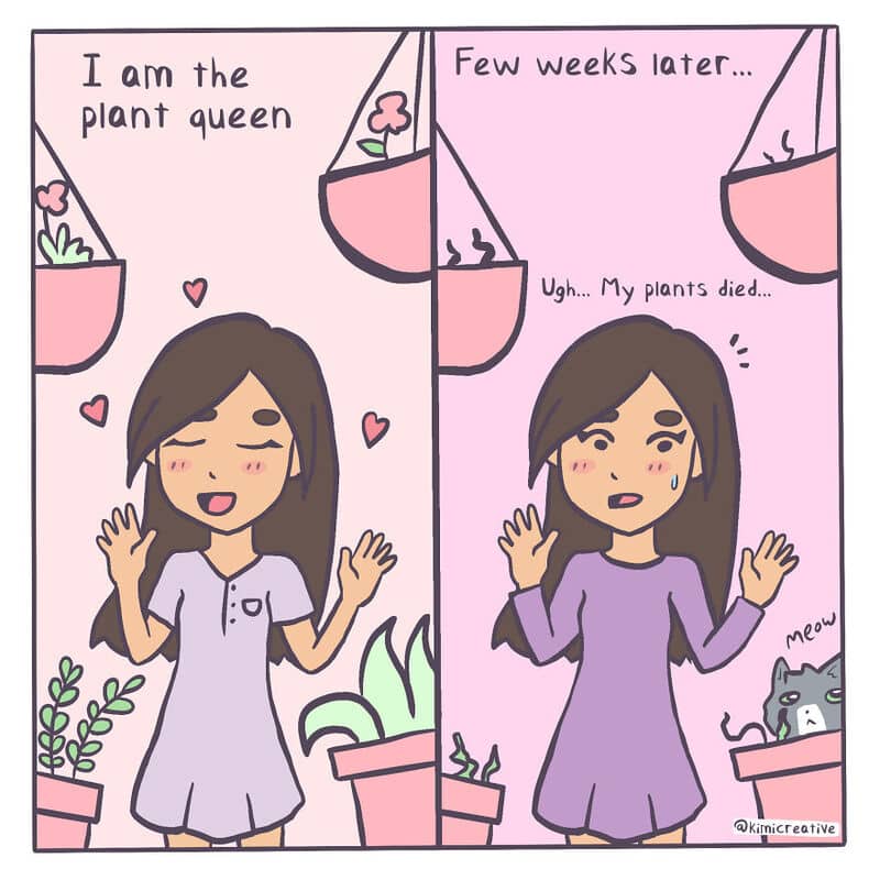 Plant queen says 'I am the plant queen'; weeks later plants die, she says 'Ugh... My plants died'.
