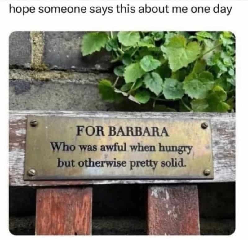 Plaque reading 'For Barbara, who was awful when hungry but otherwise pretty solid.'.