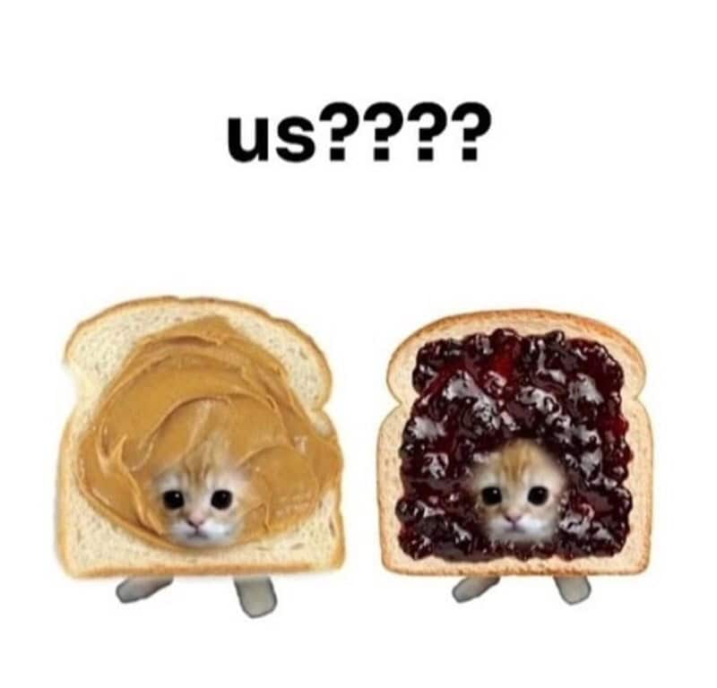 Us???? with two slices of bread with animal faces, peanut butter and jam.