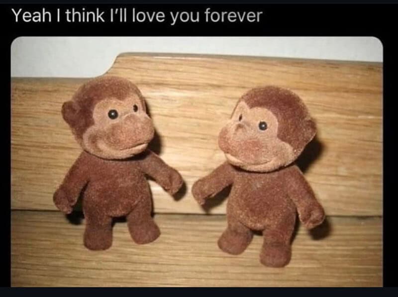 Two plush monkeys with a caption about love and forever.