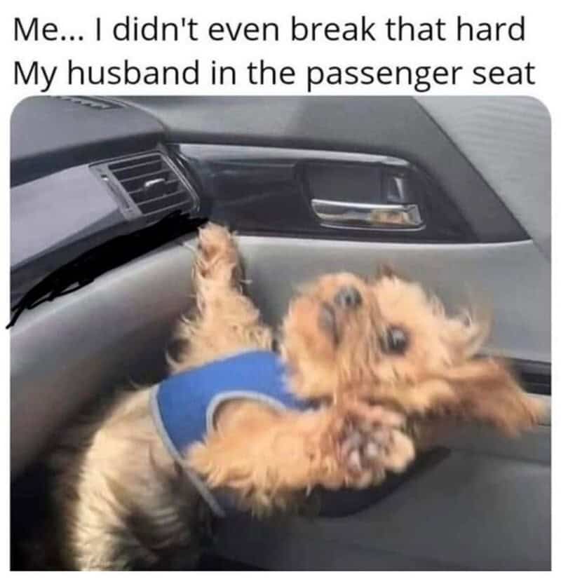 Dog in car passenger seat with text about not breaking hard and husband.