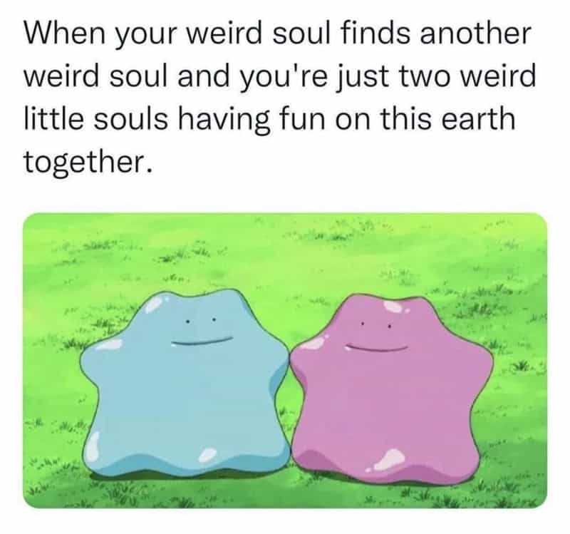 Two cute, smiling star-shaped creatures, one blue and one pink, on grass.