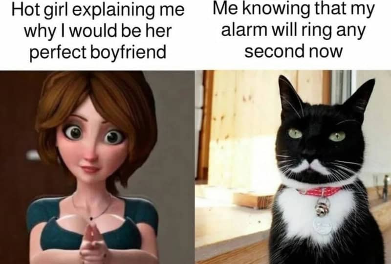 Hot girl explaining me why I would be her perfect boyfriend. Me knowing that my alarm will ring any.