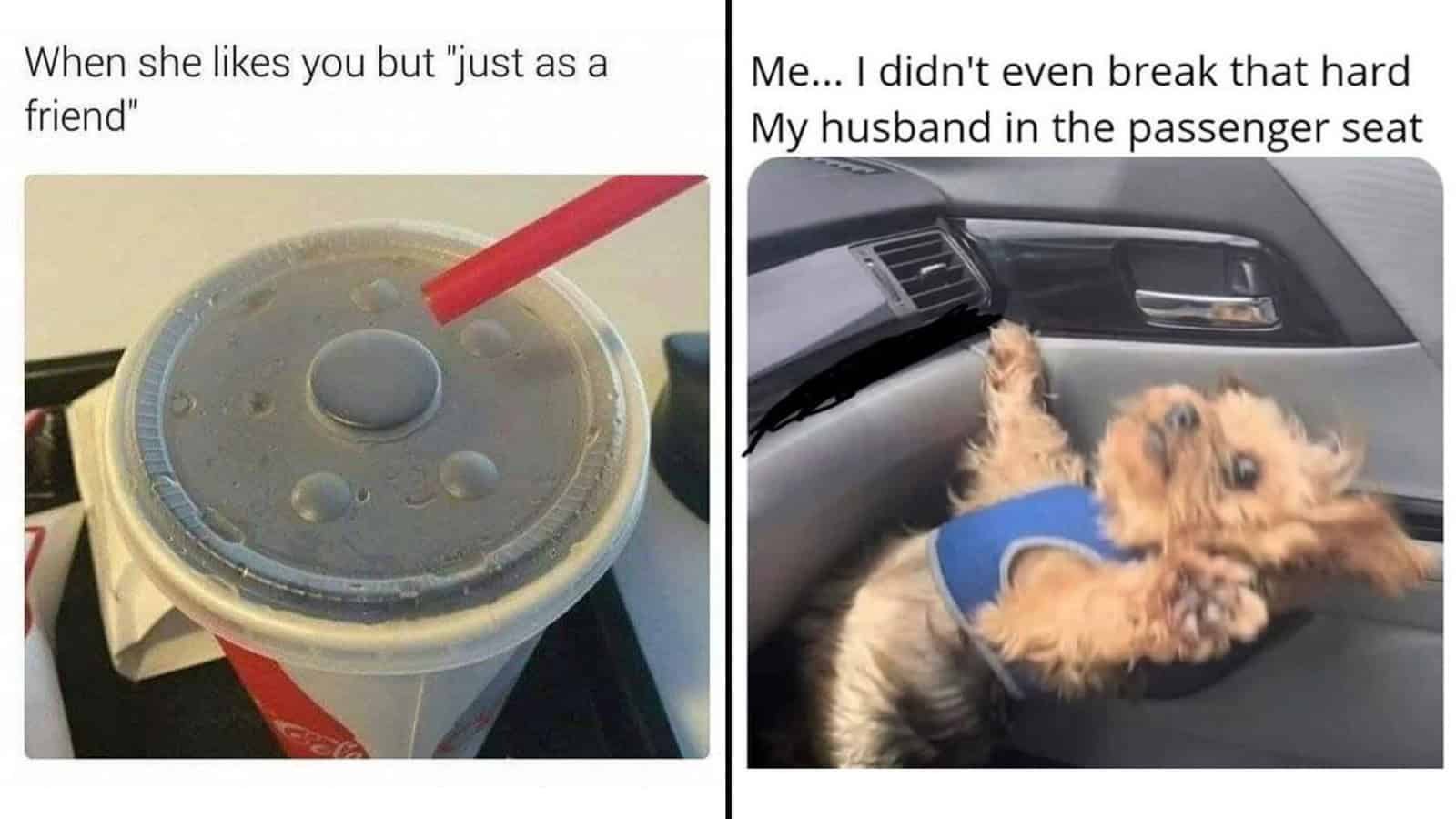 Two memes about relationships and pets, one with a soda cup and the other with a dog in a car.