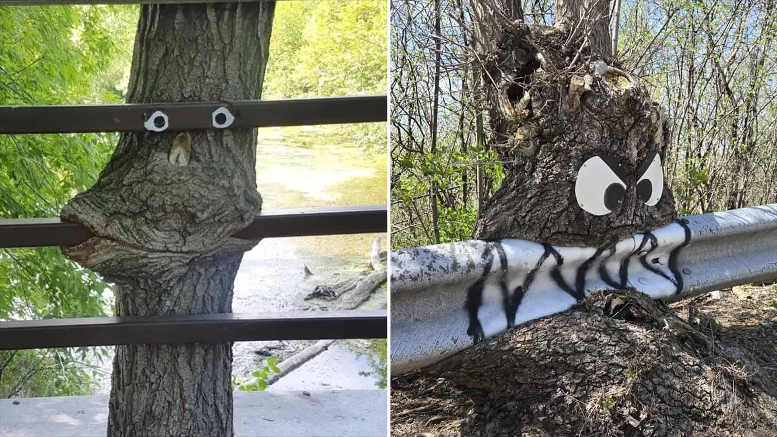 Tree with googly eyes and painted mouth near a metal railing.