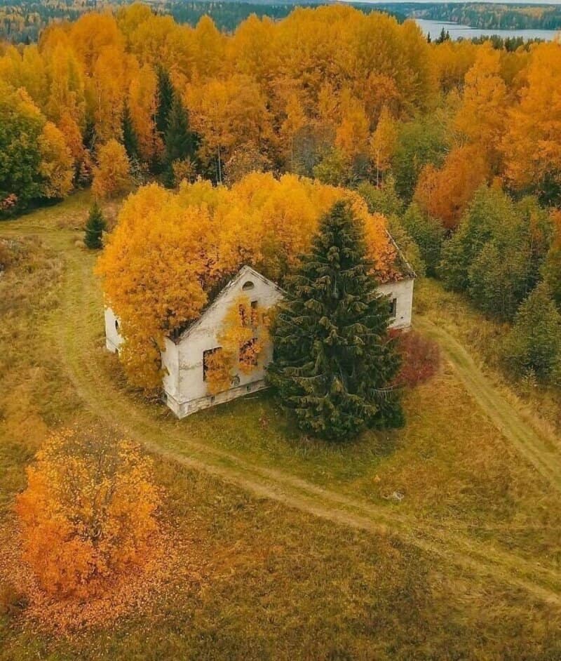 Abandoned white house surrounded by colorful autumn trees in a forest.