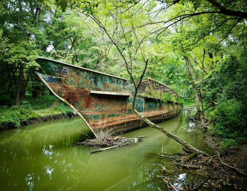 Abandoned rusty boat in a green forested area with water and trees.