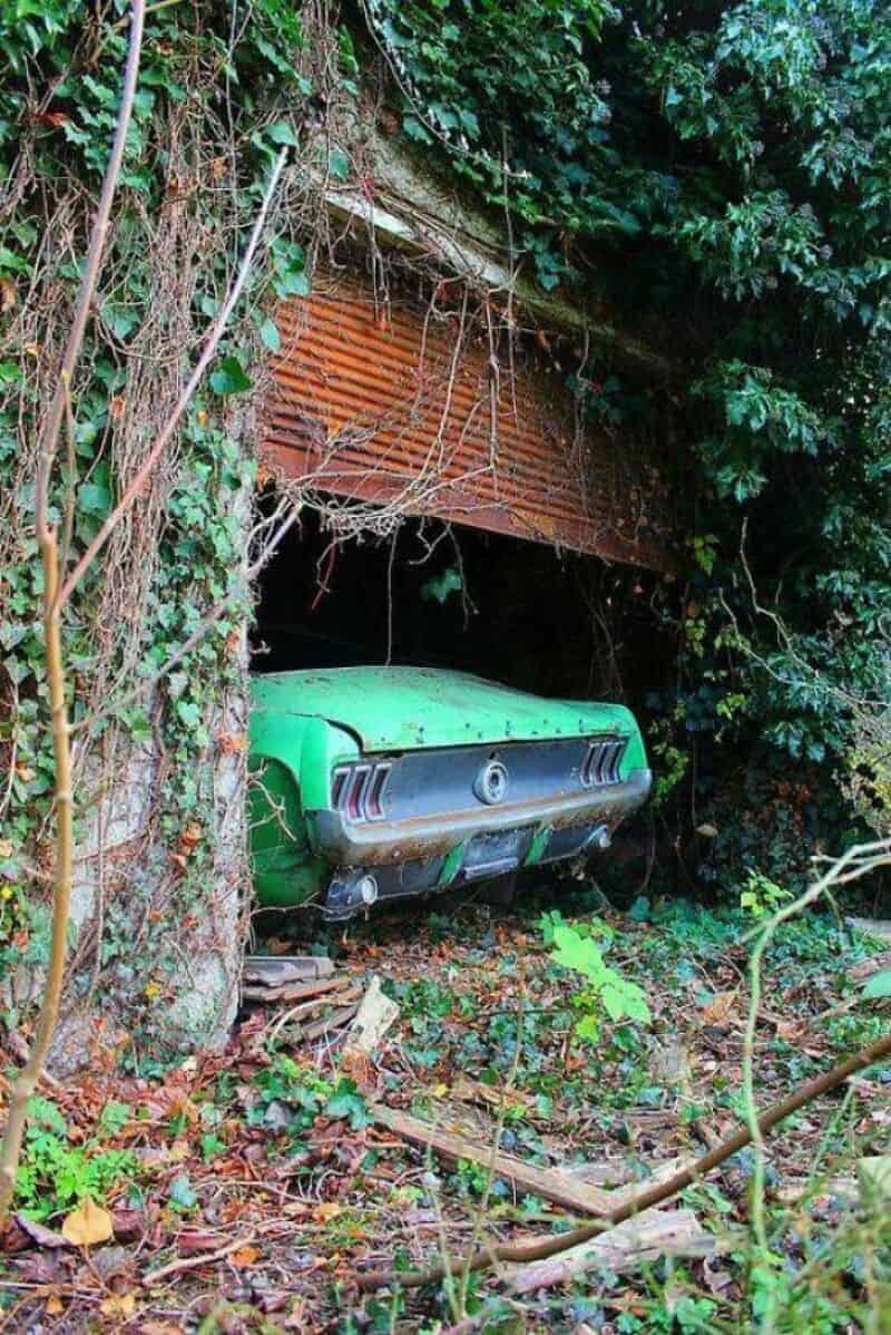 Abandoned green car partially hidden in overgrown foliage under a brick arch.