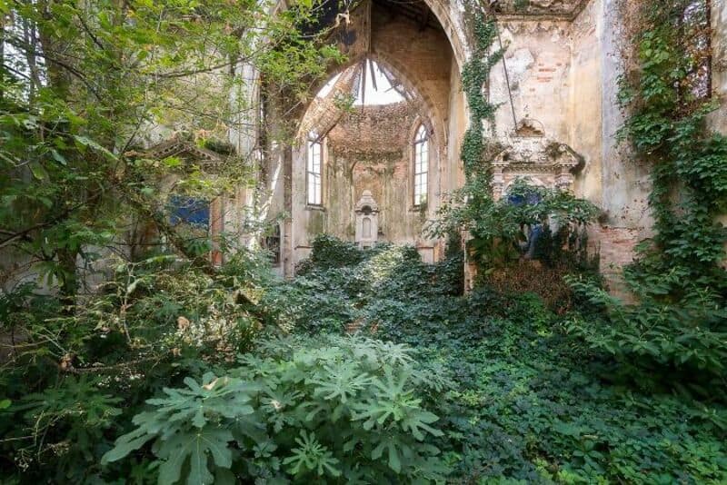 Ruined church overgrown with plants and trees, abandoned and decayed.