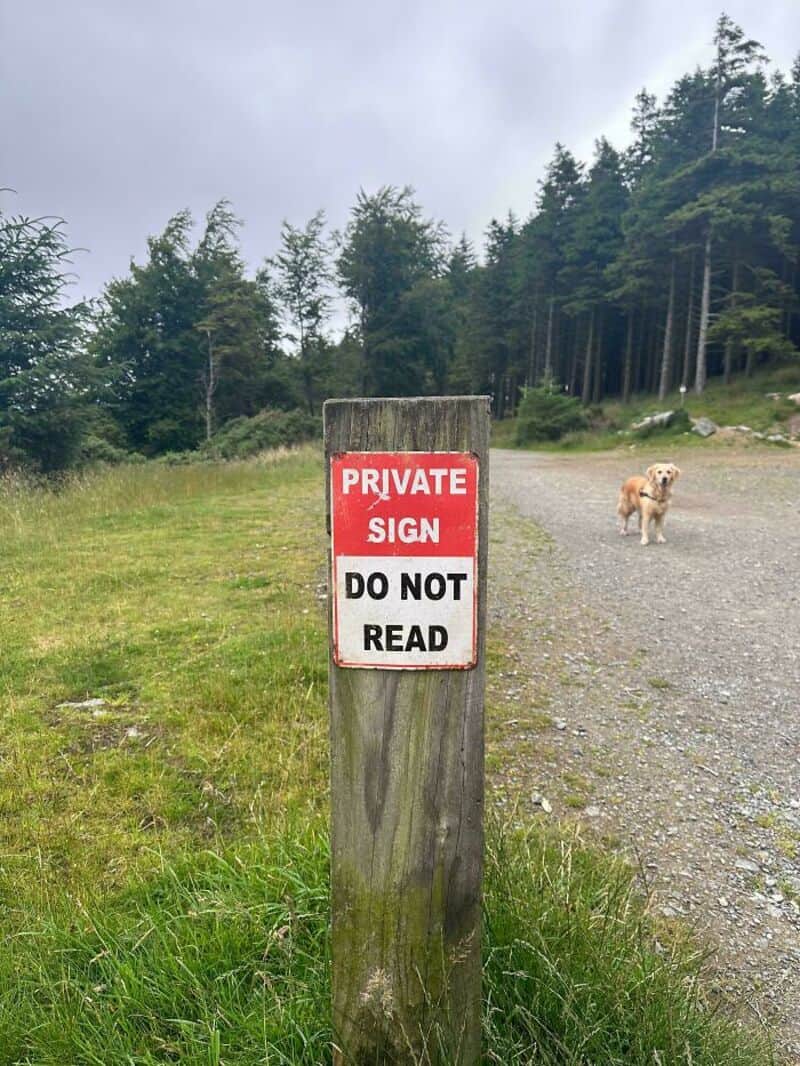 Private sign says 'DO NOT READ' on a wooden post in a grassy area.