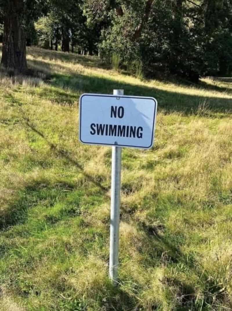 No swimming sign in a grassy area with trees in the background.