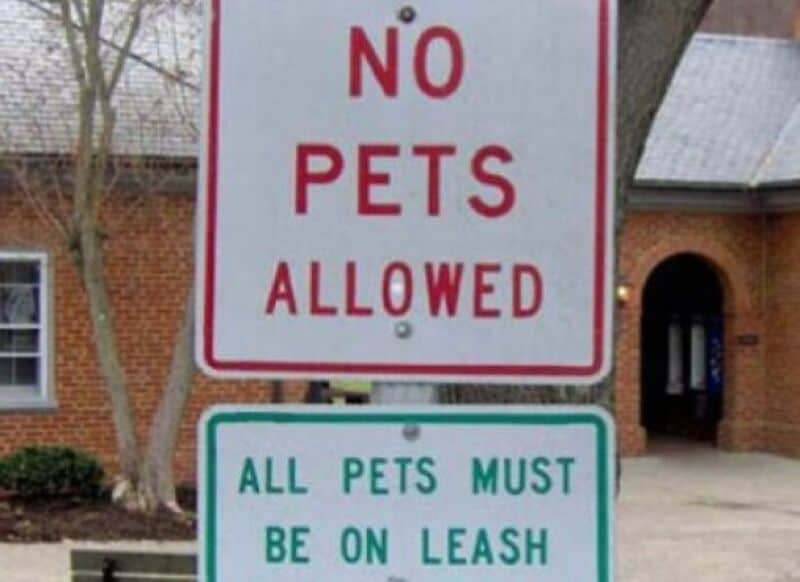 No pets allowed sign with a second sign below saying all pets must be on leash.