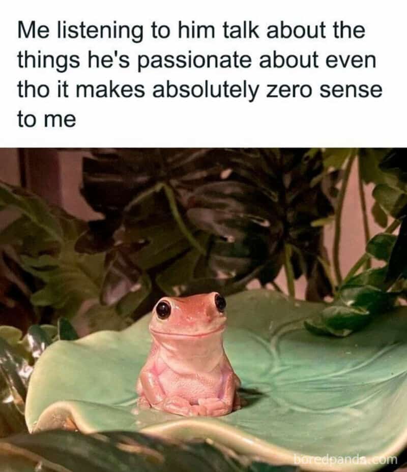 Whimsical meme with a frog and text about listening to passionate talk.