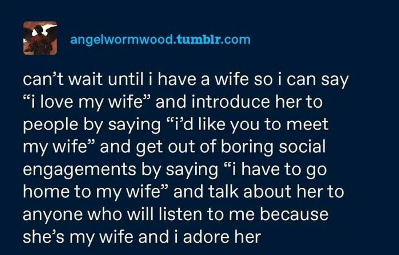 Humorous text about introducing wife to others and expressing love for her.