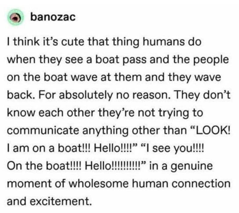 Humans wave at a passing boat, mimicking a dog's friendly gesture.