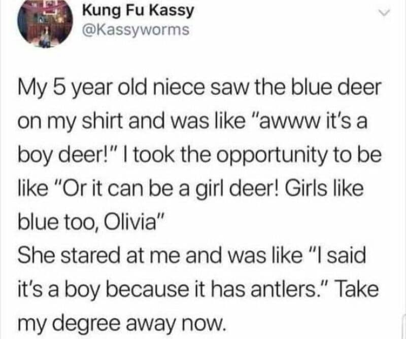 A social media post about a 5-year-old niece seeing a blue deer on a shirt.