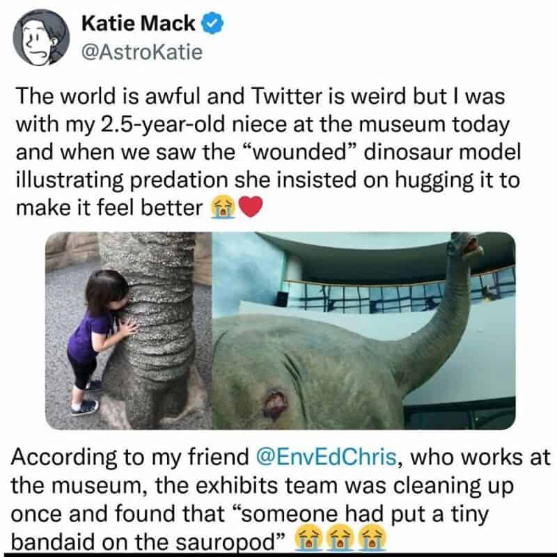 A young girl hugging a dinosaur model at a museum.