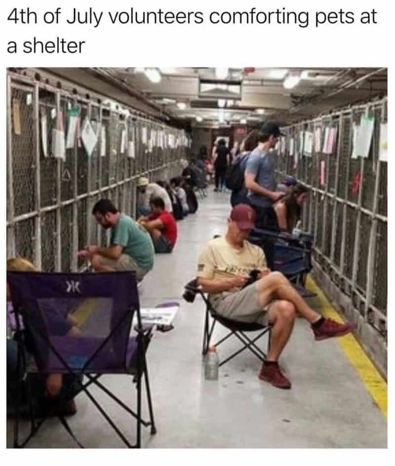 Volunteers comforting pets at a shelter on 4th of July.