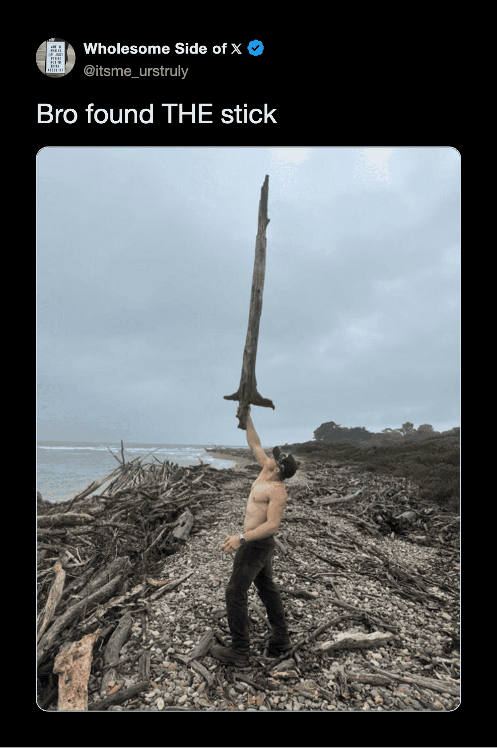 Man holding a large stick on a rocky beach with cloudy sky.