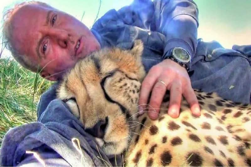 Man lying with a cheetah, both appearing relaxed and close.