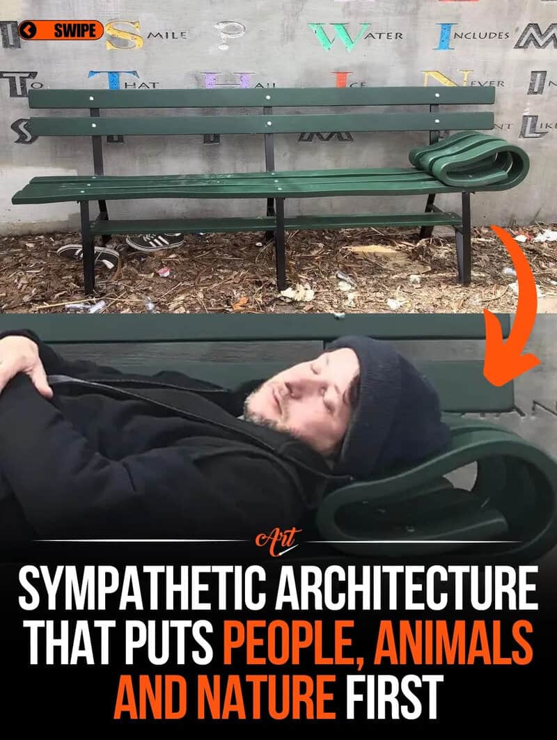 Man lying on a park bench with a curved backrest, with an orange arrow pointing to it.