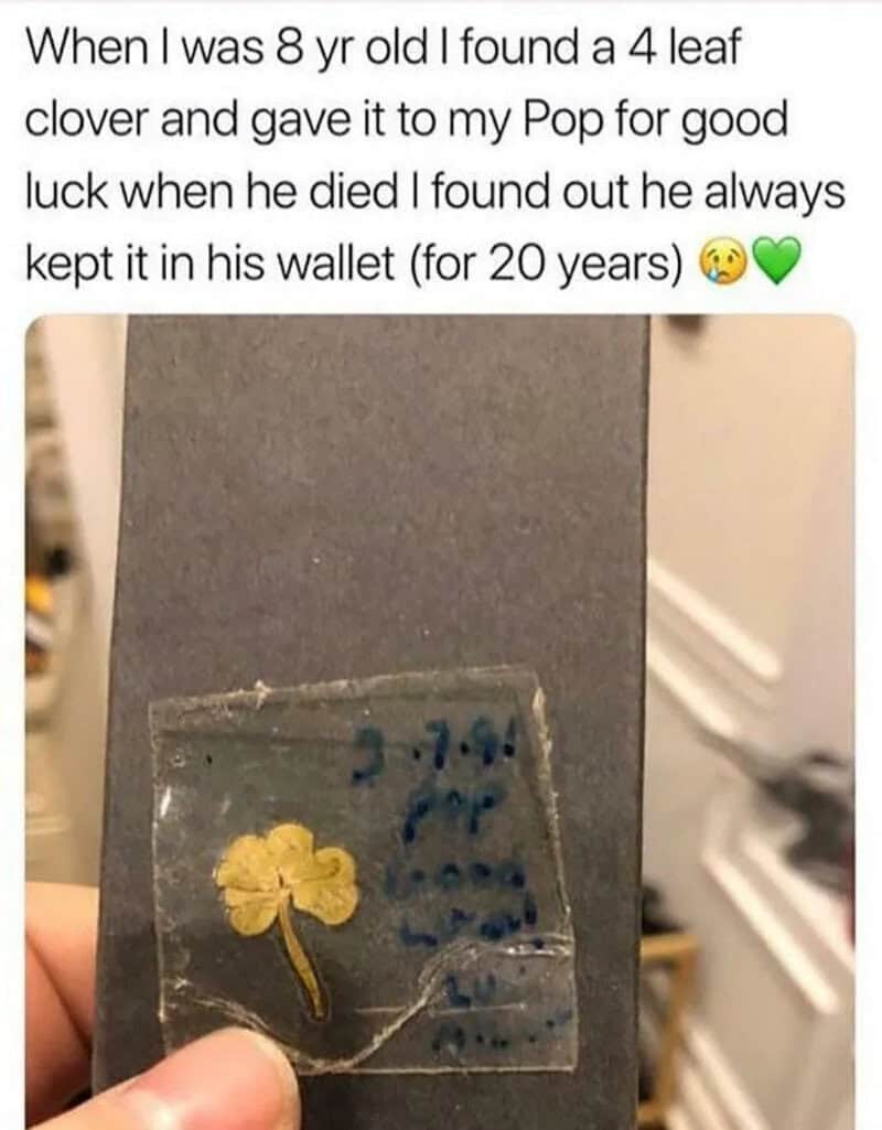Photo of a four-leaf clover kept in a wallet for 20 years.